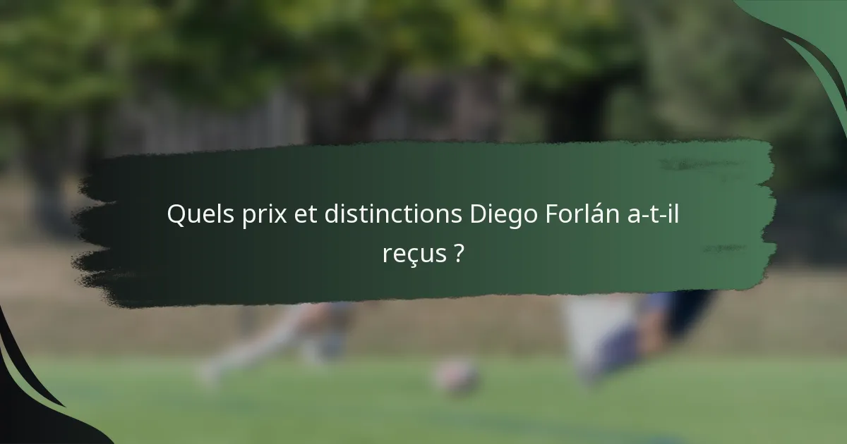 Quels prix et distinctions Diego Forlán a-t-il reçus ?